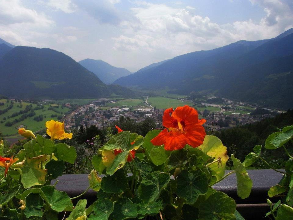 Alpenblick 3* Sterzing